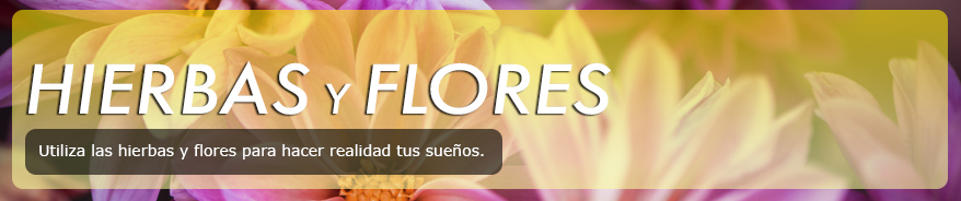 Hiberbas y Flores