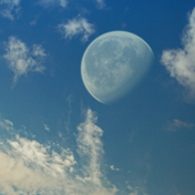 ASTROS NOVIEMBRE 2025